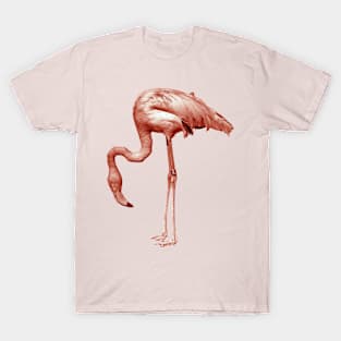 Monochrome - pink flamingo nr2 T-Shirt